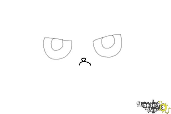 How to Draw a Grumpy Cat - Step 3 How to Draw a Grumpy Cat - Step 3