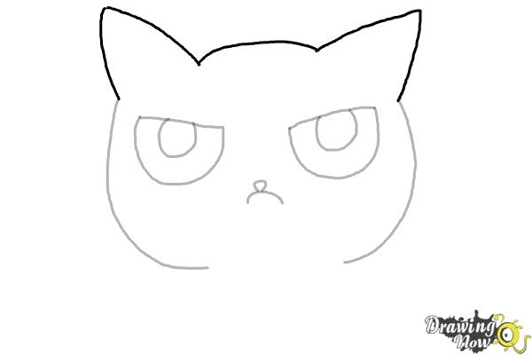 How to Draw a Grumpy Cat - Step 5 How to Draw a Grumpy Cat - Step 5