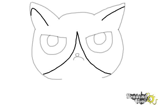 How to Draw a Grumpy Cat - Step 6 How to Draw a Grumpy Cat - Step 6