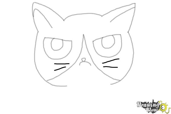 How to Draw a Grumpy Cat - Step 7 How to Draw a Grumpy Cat - Step 7
