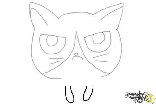 How to Draw a Grumpy Cat - Step 8 How to Draw a Grumpy Cat - Step 8