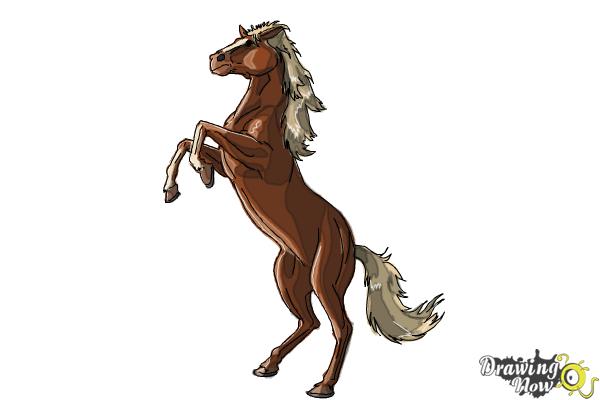 How to Draw a Horse Body - Step 10 How to Draw a Horse Body - Step 10