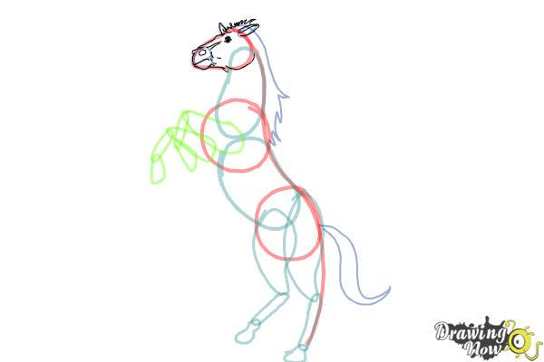 How to Draw a Horse Body - Step 5 How to Draw a Horse Body - Step 5