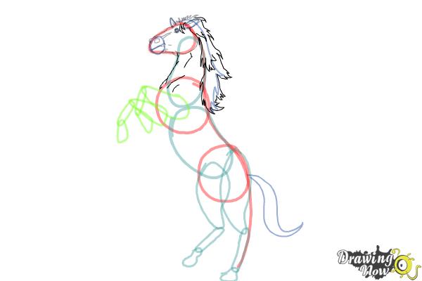 How to Draw a Horse Body - Step 6 How to Draw a Horse Body - Step 6