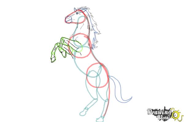 How to Draw a Horse Body - Step 7 How to Draw a Horse Body - Step 7