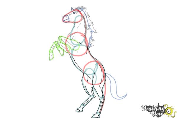 How to Draw a Horse Body - Step 8 How to Draw a Horse Body - Step 8