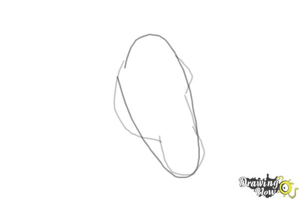 How to Draw a Horse Head - Step 2 How to Draw a Horse Head - Step 2