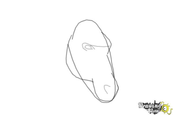 How to Draw a Horse Head - Step 3 How to Draw a Horse Head - Step 3