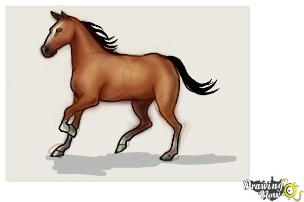 How to Draw a Horse Step by Step - Step 10 How to Draw a Horse Step by Step - Step 10