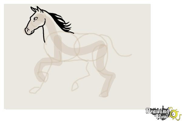 How to Draw a Horse Step by Step - Step 6 How to Draw a Horse Step by Step - Step 6