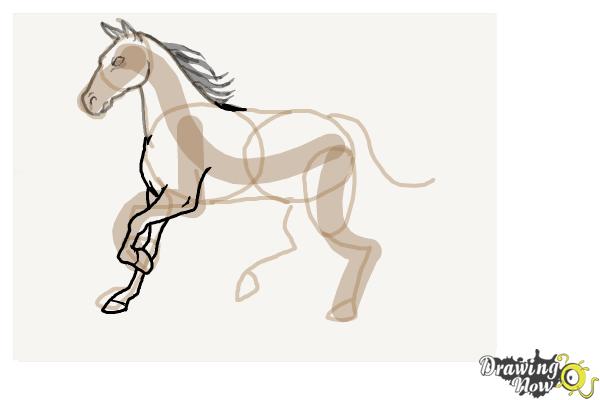 How to Draw a Horse Step by Step - Step 7 How to Draw a Horse Step by Step - Step 7