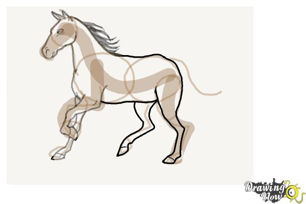 How to Draw a Horse Step by Step - Step 8 How to Draw a Horse Step by Step - Step 8