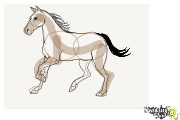 How to Draw a Horse Step by Step - Step 9 How to Draw a Horse Step by Step - Step 9