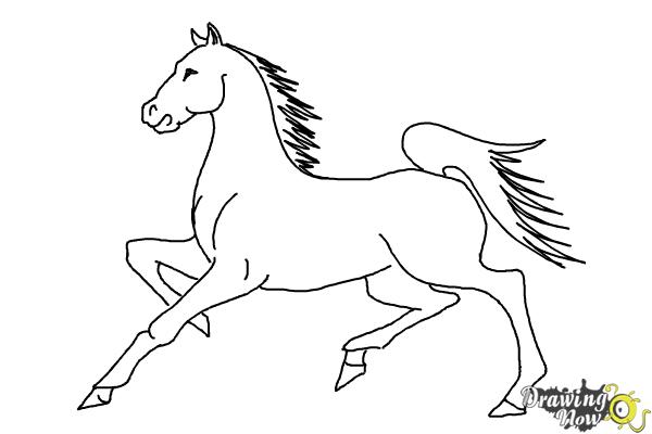 How to Draw a Horse (Ver 2) - Step 11 How to Draw a Horse (Ver 2) - Step 11