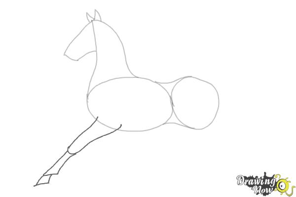 How to Draw a Horse (Ver 2) - Step 4 How to Draw a Horse (Ver 2) - Step 4