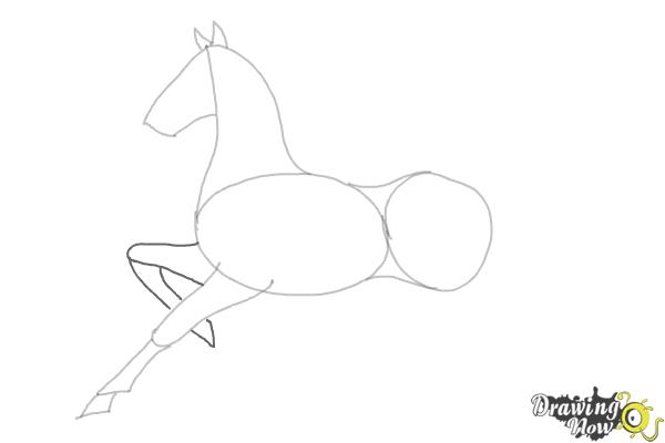 How to Draw a Horse (Ver 2) - Step 5 How to Draw a Horse (Ver 2) - Step 5