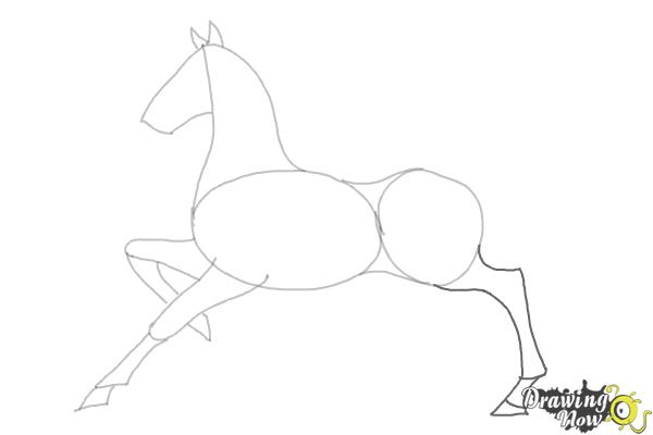 How to Draw a Horse (Ver 2) - Step 6 How to Draw a Horse (Ver 2) - Step 6