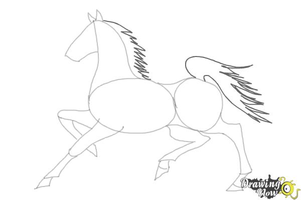 How to Draw a Horse (Ver 2) - Step 8 How to Draw a Horse (Ver 2) - Step 8