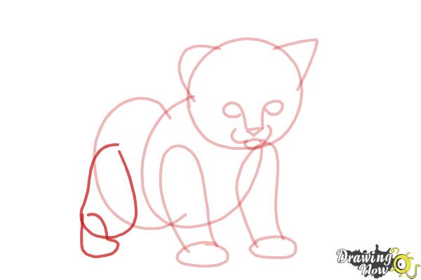 How to Draw a Kitten Step by Step - Step 6 How to Draw a Kitten Step by Step - Step 6