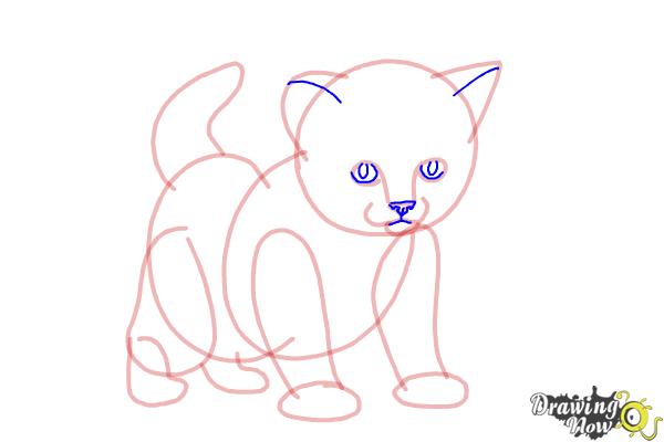 How to Draw a Kitten Step by Step - Step 8 How to Draw a Kitten Step by Step - Step 8