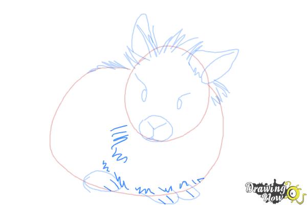 How to Draw a Lionhead Bunny - Step 6