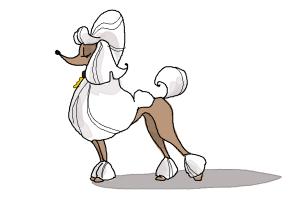 How to Draw a Poodle Step by Step