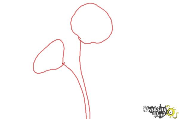 How to Draw a Poppy - Step 1 How to Draw a Poppy - Step 1