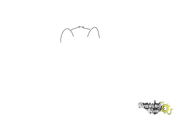 How to Draw a Rabbit Step by Step - Step 1 How to Draw a Rabbit Step by Step - Step 1