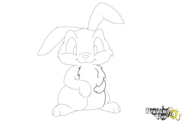 How to Draw a Rabbit Step by Step - Step 10 How to Draw a Rabbit Step by Step - Step 10