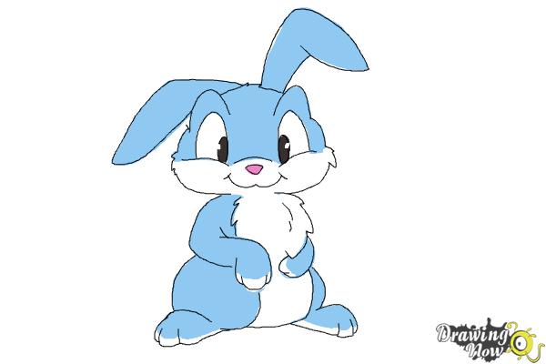 How to Draw a Rabbit Step by Step - Step 11 How to Draw a Rabbit Step by Step - Step 11