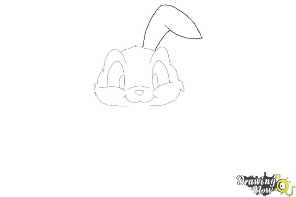 How to Draw a Rabbit Step by Step - Step 5 How to Draw a Rabbit Step by Step - Step 5