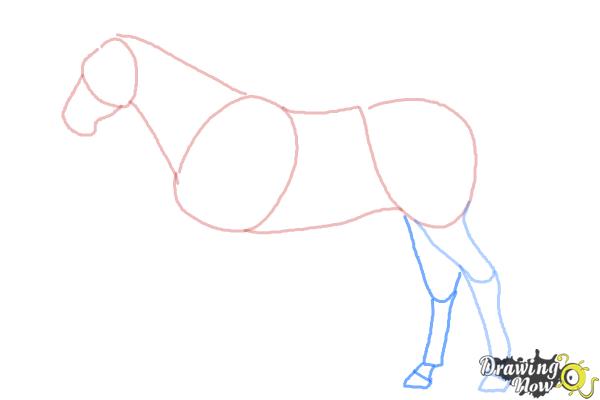 How to Draw a Realistic Horse - Step 5 How to Draw a Realistic Horse - Step 5