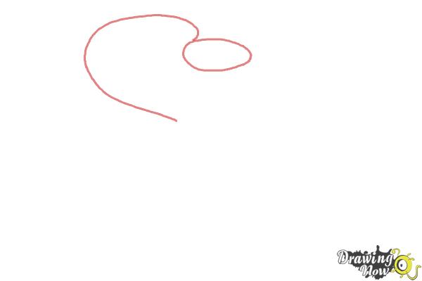 How to Draw a Realistic Snake - Step 1 How to Draw a Realistic Snake - Step 1