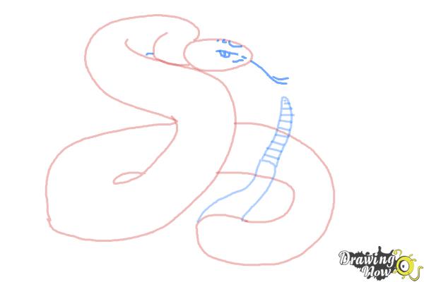 How to Draw a Realistic Snake - Step 6 How to Draw a Realistic Snake - Step 6