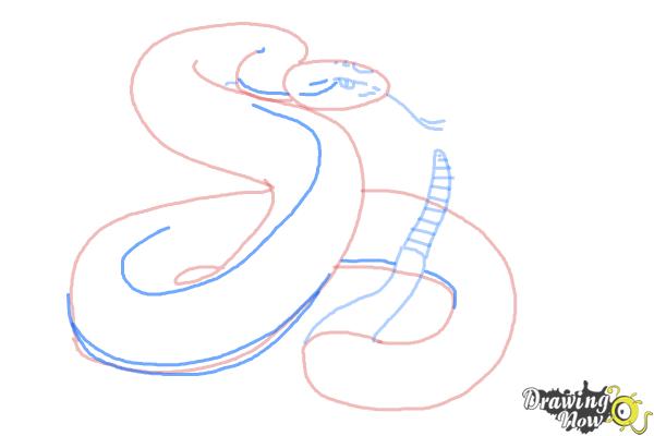 How to Draw a Realistic Snake - Step 7 How to Draw a Realistic Snake - Step 7