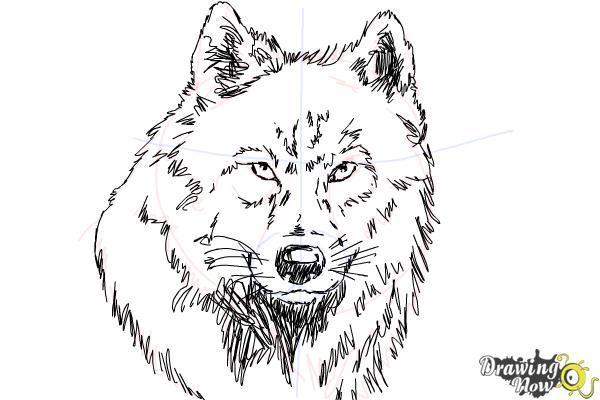 Coloring Page