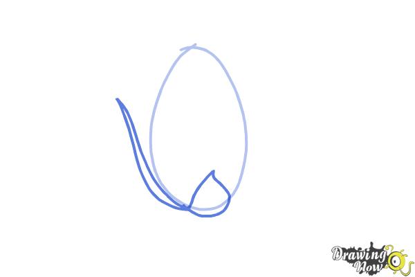 How to Draw a Rose Bud - Step 2 How to Draw a Rose Bud - Step 2