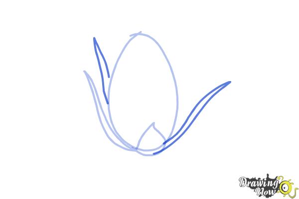 How to Draw a Rose Bud - Step 3 How to Draw a Rose Bud - Step 3