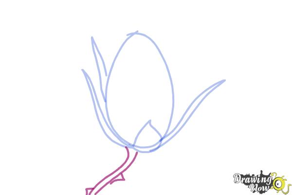How to Draw a Rose Bud - Step 4 How to Draw a Rose Bud - Step 4