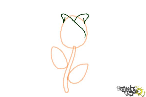 How to Draw a Rose Easy - Step 3 How to Draw a Rose Easy - Step 3