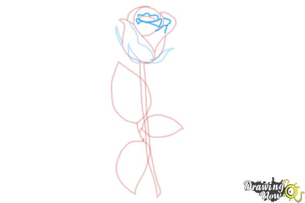 How to Draw a Rose Step by Step for Beginners - Step 7