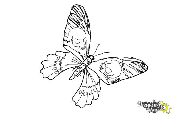 Coloring Page