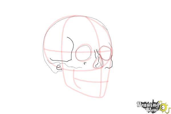 How to Draw a Skull Step by Step - Step 6 How to Draw a Skull Step by Step - Step 6