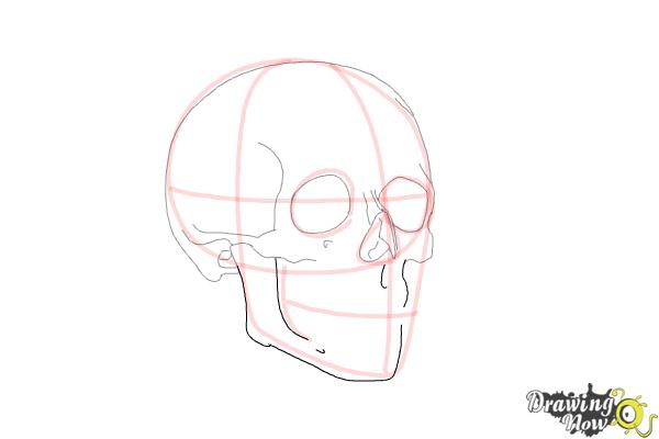 How to Draw a Skull Step by Step - Step 7 How to Draw a Skull Step by Step - Step 7