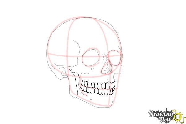 How to Draw a Skull Step by Step - Step 8 How to Draw a Skull Step by Step - Step 8