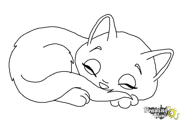 How to Draw a Sleeping Cat - Step 13 How to Draw a Sleeping Cat - Step 13