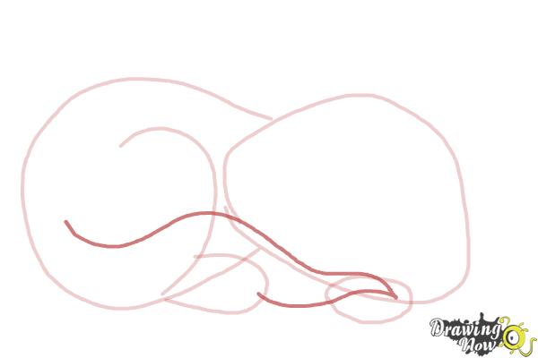 How to Draw a Sleeping Cat - Step 5 How to Draw a Sleeping Cat - Step 5