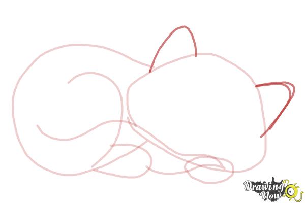 How to Draw a Sleeping Cat - Step 6 How to Draw a Sleeping Cat - Step 6