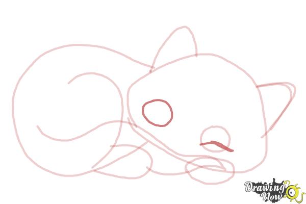 How to Draw a Sleeping Cat - Step 8 How to Draw a Sleeping Cat - Step 8