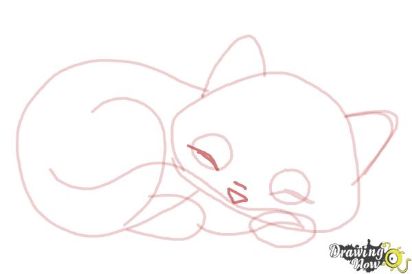 How to Draw a Sleeping Cat - Step 9 How to Draw a Sleeping Cat - Step 9